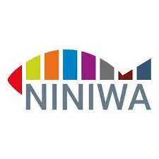 Niniwa